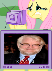 Size: 438x600 | Tagged: safe, fluttershy, pegasus, pony, exploitable meme, fluttercry, implied death, meme, meta, obligatory pony, philip seymour hoffman, tv meme