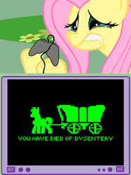 Size: 563x752 | Tagged: safe, fluttershy, pegasus, pony, crying, exploitable meme, implied death, implied diarrhea, implied dysentery, meme, obligatory pony, oregon trail, tv meme, video game, you have died of dysentery