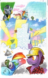 Size: 618x1000 | Tagged: safe, artist:andypriceart, derpibooru import, idw, rainbow dash, tank, zecora, earth pony, pegasus, pony, tortoise, zebra, angry, circling stars, construction, dreary, hard hat, pain, plumb bob