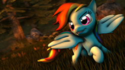 Size: 3840x2160 | Tagged: safe, artist:wiizzie, derpibooru import, rainbow dash, pegasus, pony, 3d, forest, high res, solo, source filmmaker