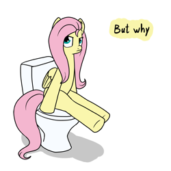 Size: 1000x1000 | Tagged: safe, artist:marindashy, fluttershy, pegasus, pony, but why, solo, toilet