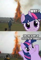 Size: 331x480 | Tagged: safe, derpibooru import, twilight sparkle, burning, cute, cute face, for the glory of satan, image macro, kumamon, reaction image, some mares just want to watch the world burn, twiface, tyrant sparkle, wrong neighborhood