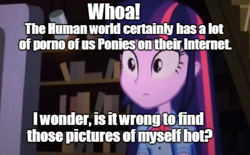 Size: 966x598 | Tagged: safe, derpibooru import, screencap, twilight sparkle, equestria girls, equestria girls (movie), alternate universe, computer, human fetish, image macro, internet, meme, narcissism, porn, selfcest, solo