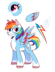 Size: 1461x1881 | Tagged: safe, artist:solareflares, derpibooru import, rainbow dash, pegasus, pony, colored wings, confident, cutie mark, ear fluff, eye, redesign, simple background, solo, standing, transparent background, wings