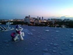 Size: 960x720 | Tagged: safe, rarity, blind bag, building, cellphone, city, florida, irl, morning, orlando, phone, photo, toy