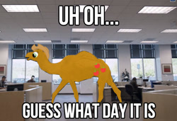 Size: 540x370 | Tagged: safe, edit, applejack, camel, commercial, geico, hump day, species swap