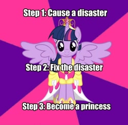 Size: 500x488 | Tagged: safe, derpibooru import, twilight sparkle, twilight sparkle (alicorn), alicorn, pony, advice meme, alicorn drama, exploitable meme, female, mare, meme