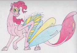 Size: 827x573 | Tagged: safe, artist:featherysketchdragon, pinkie pie, dragon, dragonified, gray background, pinkiedragon, simple background, solo, species swap, traditional art