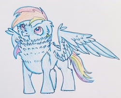 Size: 3024x2470 | Tagged: safe, artist:smirk, derpibooru import, rainbow dash, pegasus, pony, angry, cute, fluffy, looking up, ruffled feathers, solo, traditional art