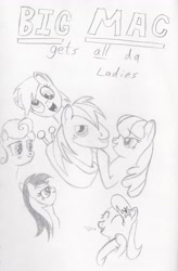 Size: 3352x5120 | Tagged: safe, artist:coltboy, big macintosh, cheerilee, derpy hooves, lily, lily valley, rainbow dash, roseluck, earth pony, pegasus, pony, big macintosh gets all the mares, cheerimac, derpymac, lilymac, male, monochrome, pencil drawing, rainbowmac, shipping, sketch, stallion, straight, traditional art