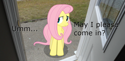 Size: 900x440 | Tagged: safe, edit, fluttershy, pegasus, pony, bronybait, female, frown, image macro, irl, mare, nervous, photo, ponies in real life, porch, solo, text