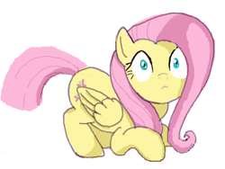 Size: 377x283 | Tagged: safe, fluttershy, pegasus, pony, female, mare, o.o, pink mane, solo, yellow coat