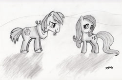 Size: 3145x2074 | Tagged: safe, artist:septilsix, big macintosh, fluttershy, earth pony, pegasus, pony, fluttermac, male, monochrome, shipping, sketch, stallion, straight, traditional art