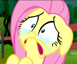 Size: 1299x1080 | Tagged: safe, screencap, fluttershy, pegasus, pony, filli vanilli, crying, faic, scared, solo