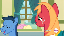 Size: 1440x810 | Tagged: safe, screencap, big macintosh, fluttershy, toe-tapper, earth pony, pegasus, pony, filli vanilli, ass up, female, hub logo, male, mare, out of context, plot, ponytones outfit, stallion, sweat, window