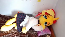 Size: 1440x820 | Tagged: safe, artist:ec31314, sunset shimmer, pony, clothes, irl, life size, photo, plushie