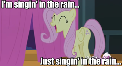 Size: 849x463 | Tagged: safe, screencap, fluttershy, pegasus, pony, filli vanilli, comparison, flutterguy, image macro, meme, singin' in the rain, singing, solo, youtube link