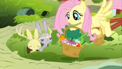 Size: 1366x768 | Tagged: safe, screencap, fluttershy, pegasus, pony, rabbit, filli vanilli, animal, basket, feeding, female, food, jackalope, mare, vegetables, working