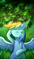 Size: 1200x2057 | Tagged: safe, artist:ghst-qn, derpibooru import, rainbow dash, pegasus, pony, female, grass, lying in grass, mare, on back, sleeping, solo, spread wings, wings