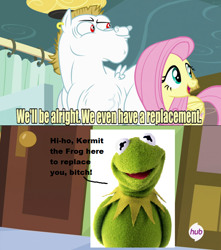 Size: 628x712 | Tagged: safe, bulk biceps, fluttershy, pegasus, pony, background pony strikes again, blonde, blonde mane, blonde tail, blue eyes, curtain, dialogue, ear piercing, exploitable meme, female, kermit the frog, looking to side, looking to the right, male, mare, meme, open mouth, piercing, pink mane, pink tail, red eyes, replacement meme, smiling, spread wings, stallion, text, the muppets, vulgar, white coat, wings, yellow coat