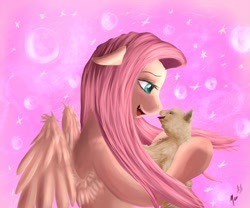 Size: 1000x833 | Tagged: safe, artist:miokomata, fluttershy, cat, pegasus, pony, fangs, solo