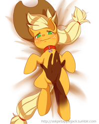 Size: 715x900 | Tagged: safe, artist:sion, applejack, earth pony, pony, belly button, bellyrubs, blushing, collar, hand, hat, on back, solo