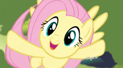 Size: 854x475 | Tagged: safe, screencap, fluttershy, pegasus, pony, filli vanilli, cute, flying, hub logo, singing, solo