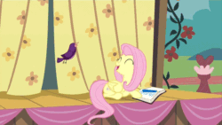 Size: 640x360 | Tagged: safe, screencap, fluttershy, bird, pegasus, pony, filli vanilli, animated, book, cute, eyes closed, female, flying, grin, loop, mare, open mouth, prone, purple martin, shyabetes, singing, smiling, solo, songbird, stage