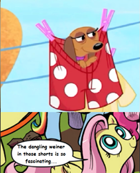 Size: 487x599 | Tagged: safe, fluttershy, dog, pegasus, pony, blue coat, blue eyes, boxer briefs, boxers, clothes, clothes line, clothespin, dialogue, exploitable meme, female, looking up, mare, meme, multicolored tail, nature is so fascinating, obligatory pony, pink coat, pink mane, pound puppies, smiling, speech bubble, strudel, underwear, visual gag, vulgar, wings, yellow coat