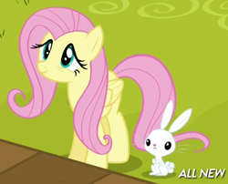 Size: 496x401 | Tagged: safe, screencap, angel bunny, fluttershy, pegasus, pony, filli vanilli, smiling, solo