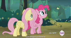 Size: 1441x761 | Tagged: safe, screencap, fluttershy, pinkie pie, earth pony, pegasus, pony, maud pie (episode), hub logo, meme, youtube caption