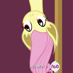 Size: 1000x1000 | Tagged: artist needed, safe, edit, edited edit, edited screencap, editor:vb, screencap, fluttershy, bats!, filli vanilli, flutterbat, hub logo, solo