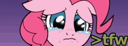 Size: 409x148 | Tagged: safe, idw, pinkie pie, earth pony, pony, feels, meme, reaction image, solo