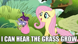 Size: 800x450 | Tagged: safe, screencap, fluttershy, pegasus, pony, filli vanilli, caption, image macro, lyrics, meme, the move