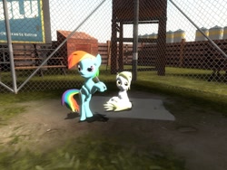 Size: 1024x768 | Tagged: safe, derpy hooves, rainbow dash, pegasus, pony, 3d, baseball, female, gmod, mare