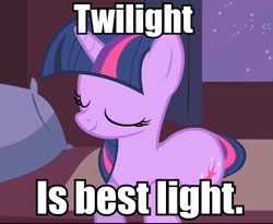 Size: 518x424 | Tagged: safe, derpibooru import, twilight sparkle, image macro, opinion, solo