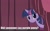 Size: 914x570 | Tagged: safe, derpibooru import, twilight sparkle, pony, unicorn, female, horn, image macro, mare, purple coat, purple mane, solo