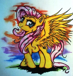 Size: 1483x1561 | Tagged: safe, artist:tomek2289, fluttershy, pegasus, pony, female, mare, pink mane, solo, yellow coat