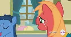 Size: 743x391 | Tagged: safe, screencap, big macintosh, fluttershy, toe-tapper, earth pony, pegasus, pony, filli vanilli, ass up, female, hub logo, male, mare, out of context, plot, shipping fuel, stallion