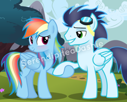 Size: 1024x826 | Tagged: dead source, safe, artist:serendipiteadashie, derpibooru import, rainbow dash, soarin', pegasus, pony, blushing, female, holding hooves, male, shipping, soarindash, straight, watermark