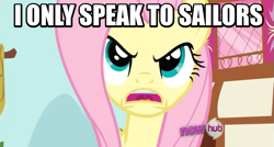 Size: 637x341 | Tagged: safe, fluttershy, pegasus, pony, hercules games, hub logo, image macro, jontron, meme