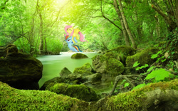 Size: 1920x1200 | Tagged: safe, artist:scrimpeh, artist:thepwnyisaspy, derpibooru import, fluttershy, rainbow dash, carrying, creek, flying, irl, moss, photo, ponies in real life, rock, tree, unamused, vector