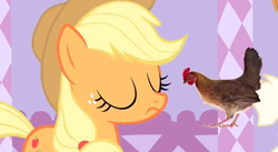 Size: 636x349 | Tagged: safe, artist:danfango, applejack, earth pony, pony, female, hen, mare, youtube poop