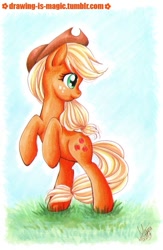 Size: 521x800 | Tagged: safe, artist:mana-kyusai, applejack, earth pony, pony, looking back, rearing, solo, traditional art