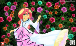 Size: 2470x1500 | Tagged: safe, artist:minusclass, sunset shimmer, equestria girls, beautiful, clothes, dress, flower, patreon, patreon logo, smiling, solo