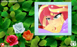 Size: 2470x1500 | Tagged: safe, artist:minusclass, sunset shimmer, equestria girls, bust, clothes, female, flower, patreon, patreon logo, portrait, smiling, solo