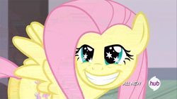 Size: 962x541 | Tagged: safe, screencap, fluttershy, pegasus, pony, filli vanilli, hub logo, smiling, solo