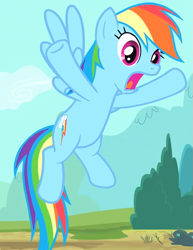 Size: 575x743 | Tagged: safe, derpibooru import, screencap, rainbow dash, pegasus, pony, three's a crowd, cropped, cutie mark, female, mare, solo