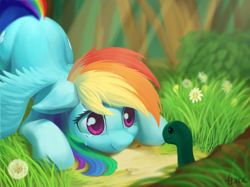 Size: 2397x1795 | Tagged: safe, artist:draconidsmxz, derpibooru import, rainbow dash, tank, pegasus, pony, turtle, bending, crying, cute, dandelion, dashabetes, female, mare, reunion, smiling, spread wings, spring, tears of joy, wings