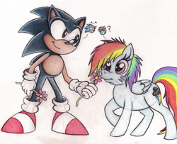 Size: 1024x831 | Tagged: safe, artist:spectrum-sparkle, derpibooru import, rainbow dash, pegasus, pony, backwards cutie mark, crossover, crossover shipping, drawing, flower, shipping, sonic the hedgehog, sonic the hedgehog (series), sonicdash, traditional art